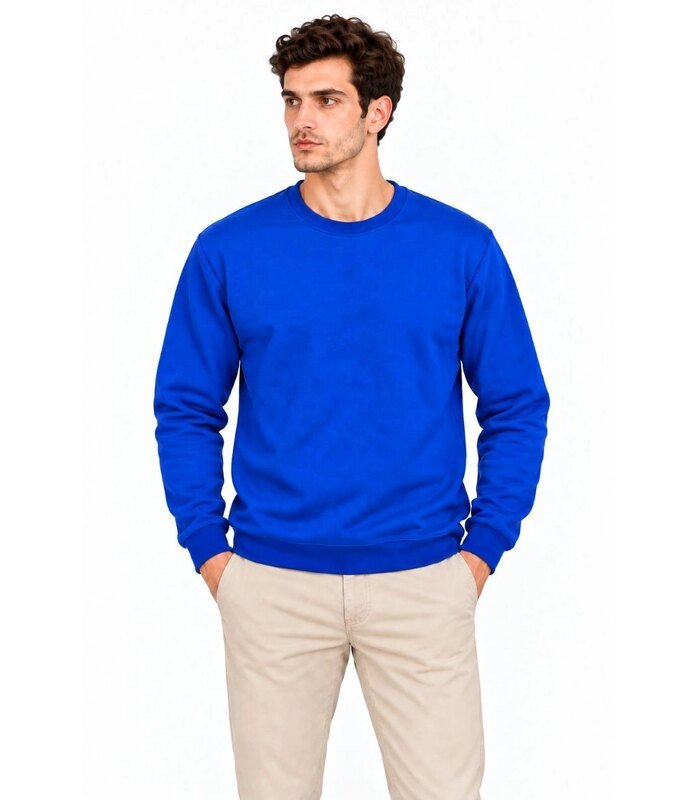 Erkek Bisiklet Yaka İçi Şardonlu 2 İplik Düz Uzun Kollu Regular Fit Sweatshirt - Mavi
