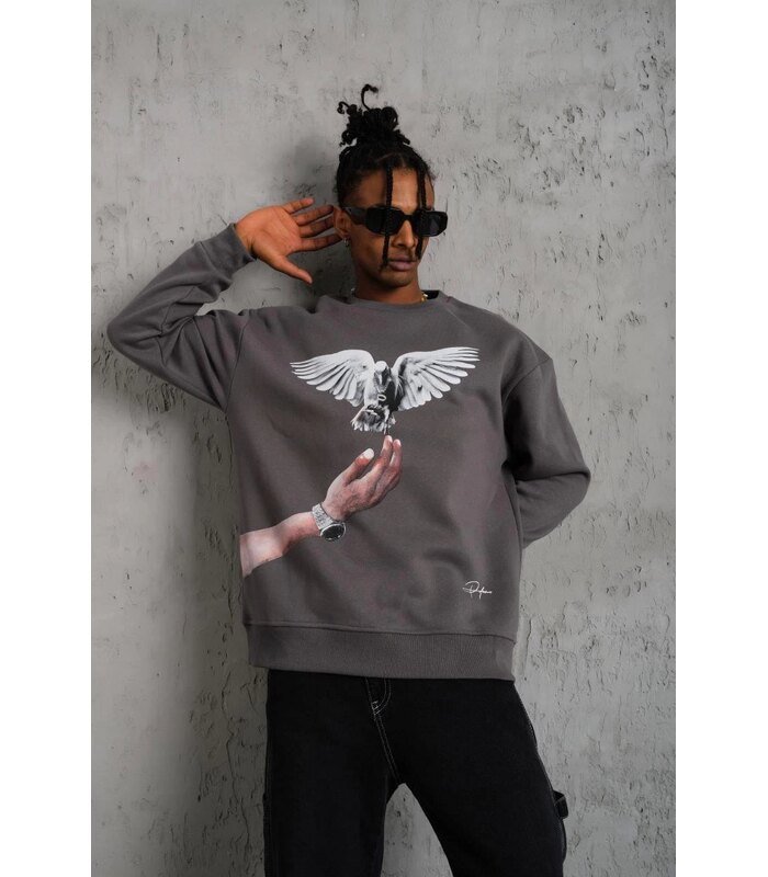 erkek-guvercin-baskili-sweatshirt-gri-134930027-sw853sh1280-e19c5869ec-700x800-1 Erkek Güvercin Baskılı 3 iplik pamuklu Bisiklet Yaka Sweatshirt - Gri - Görsel 1