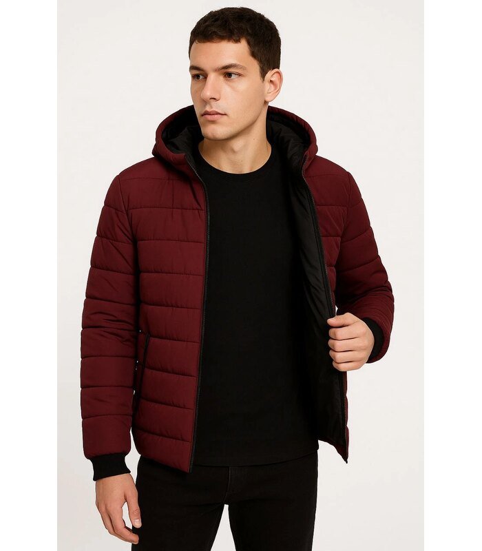 erkek-sisme-kapusonlu-fermuarli-mont-su-itici-kapitone-astarli-kumas-cepli-kislik-rahat-kalip-bordo-13703697-sw853sh1280-5101f73af5-700x800-1 ERKEK Şişme Kapüşonlu Fermuarlı Mont Su İtici Kapitone Cepli Ceket - Bordo - Görsel 1