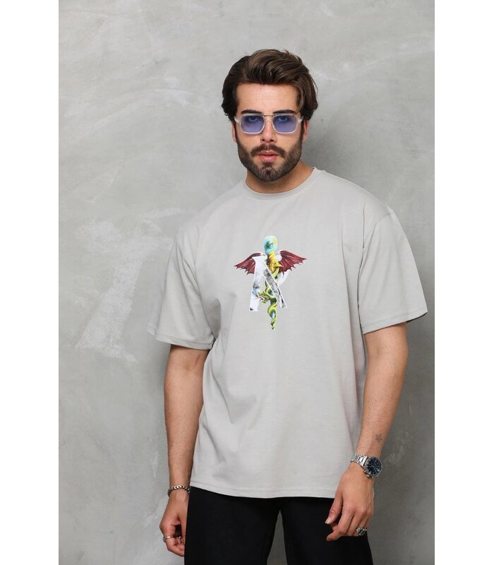 Erkek Baskılı T-Shirt Kısa Kol Bisiklet Yaka Regular Fit Rahat Kalıp Tişört - Gri